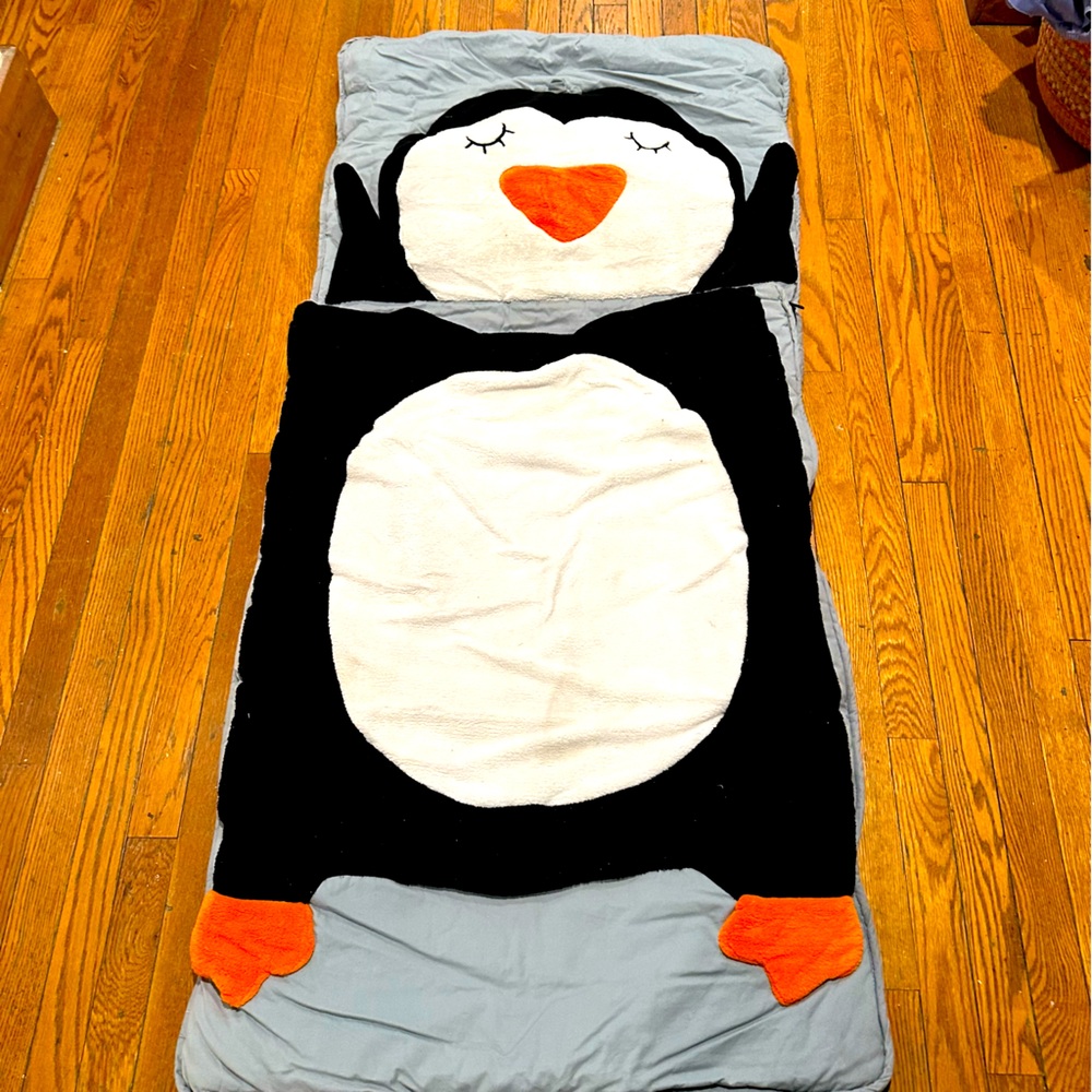 Land of Nod Sleeping Bag